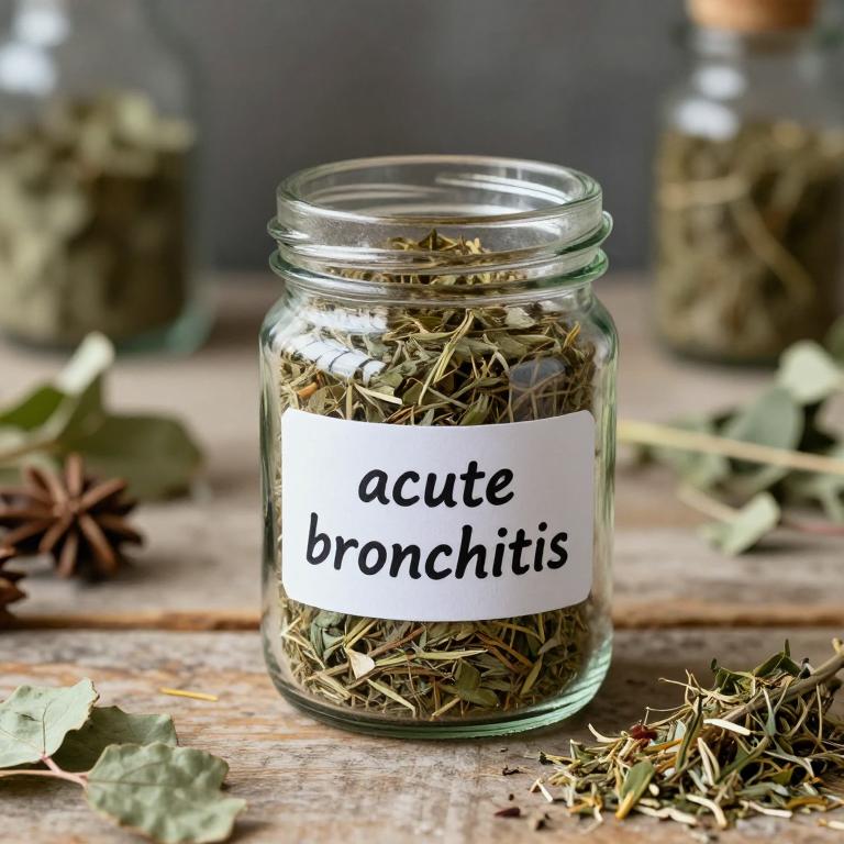 acute bronchitis remedies
