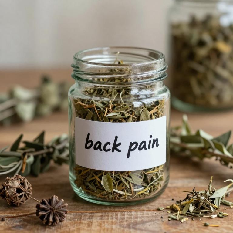 back pain remedies