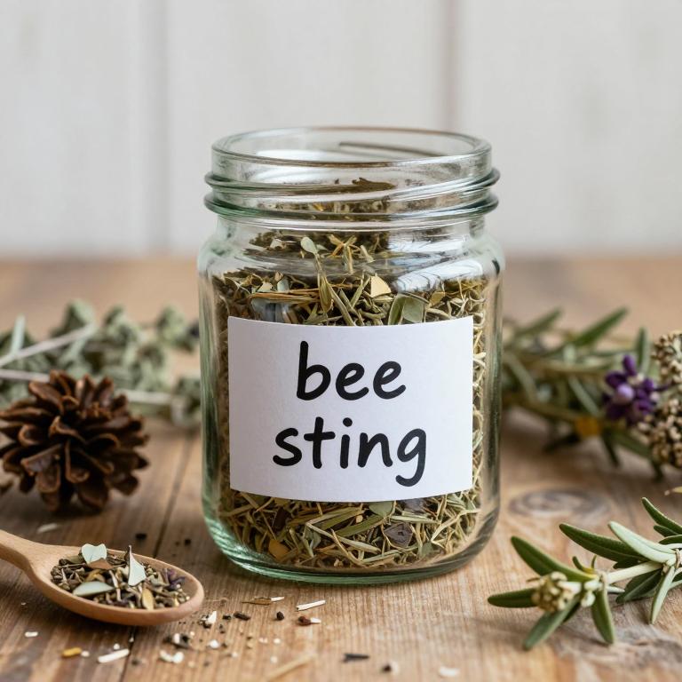 bee sting remedies