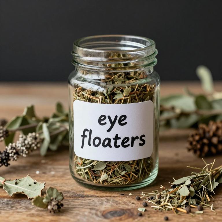 eye floaters remedies