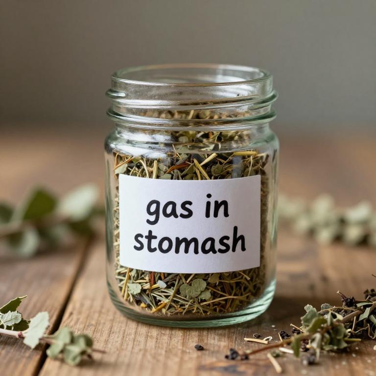 gas in stomach remedies