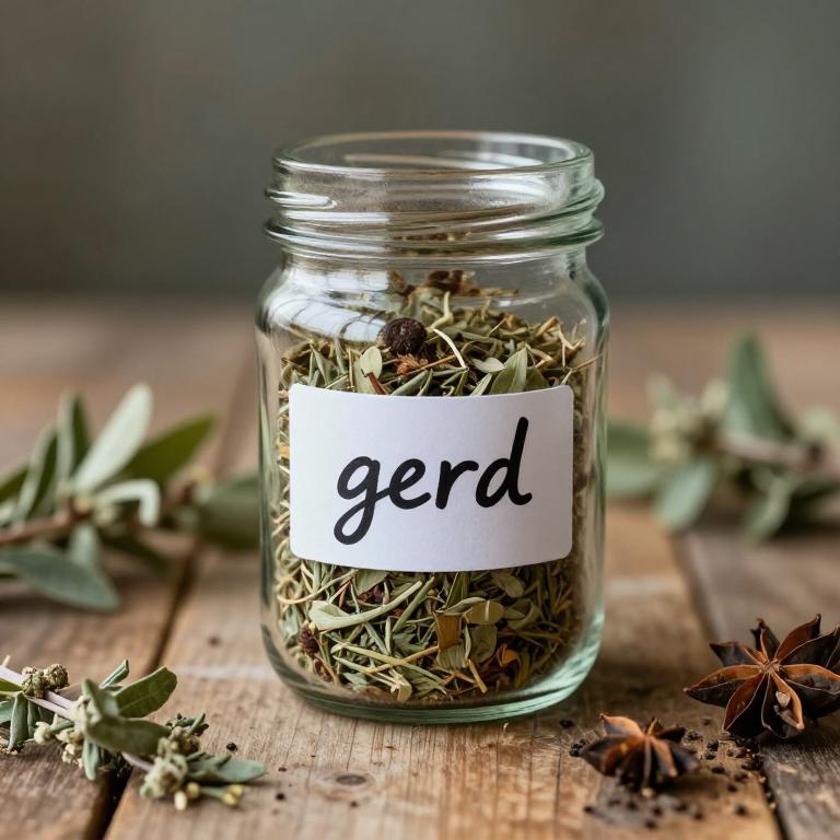 gerd remedies