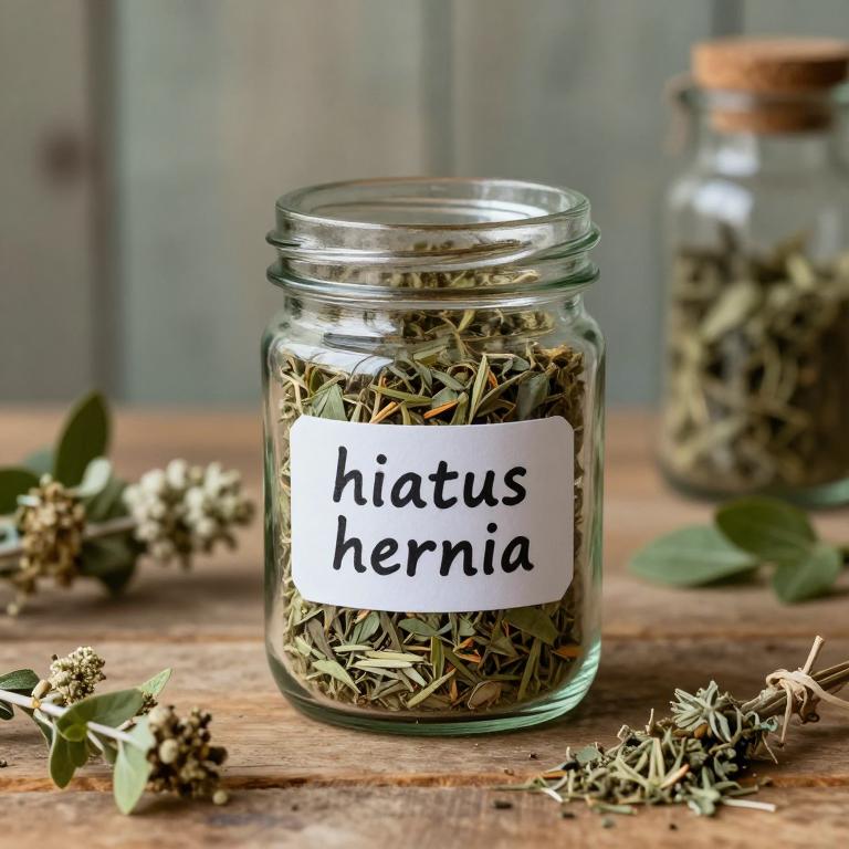 hiatus hernia remedies