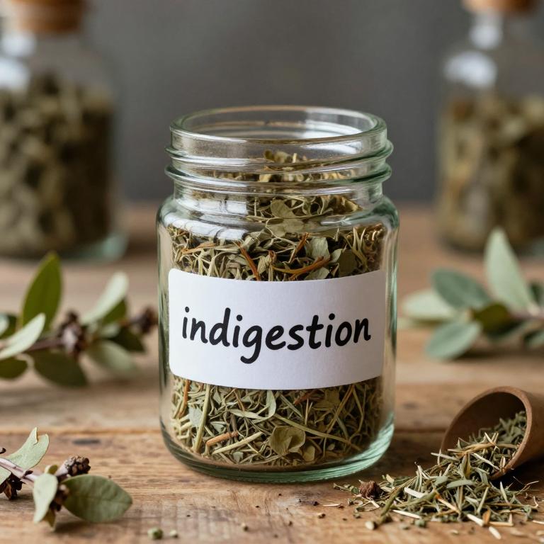 indigestion remedies