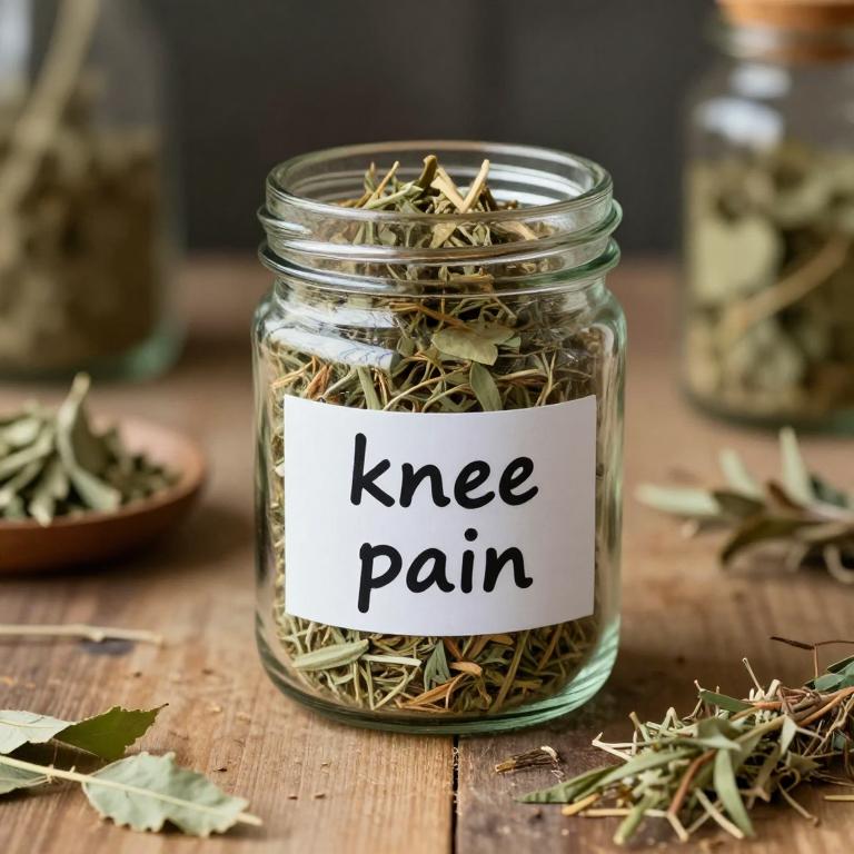 knee pain remedies