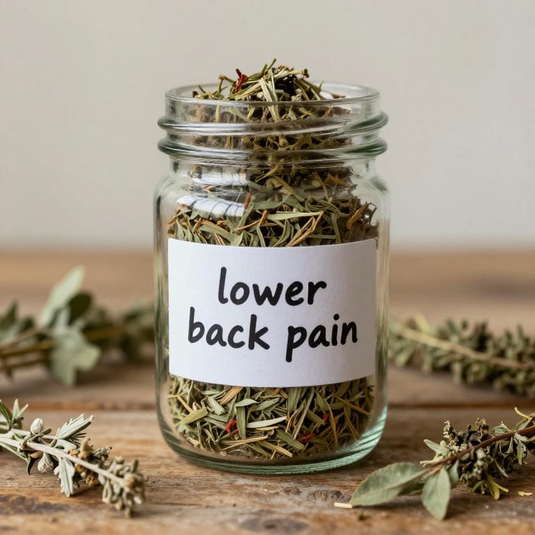 lower back pain remedies
