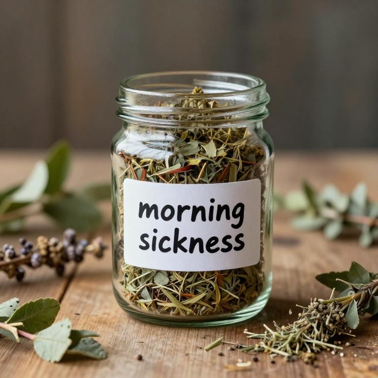 morning sickness remedies