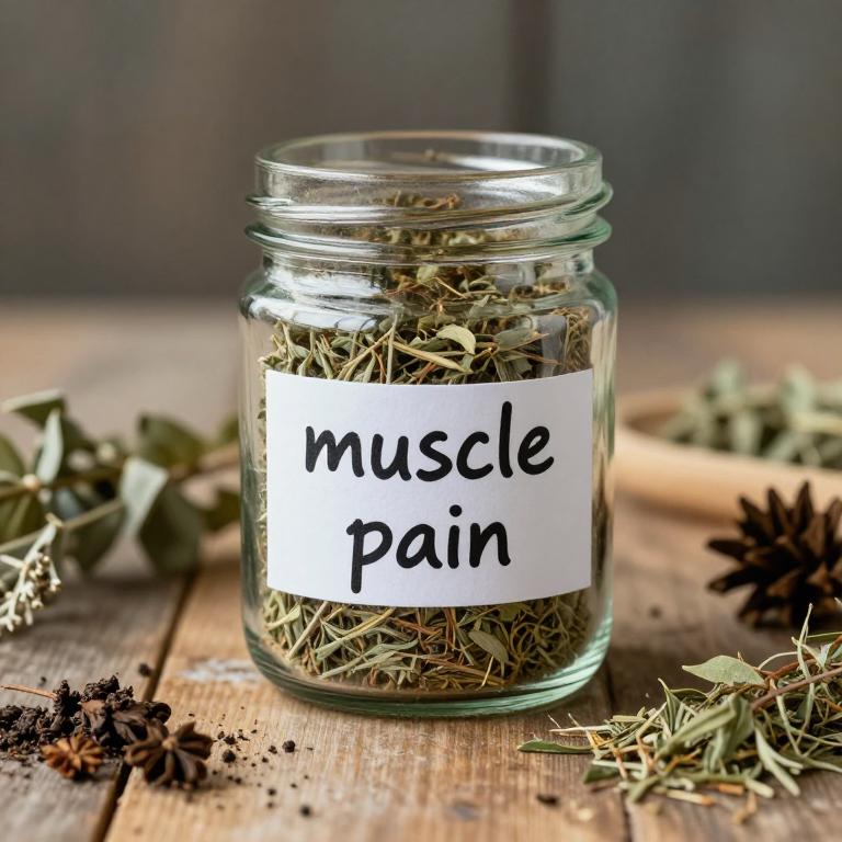 muscle pain remedies