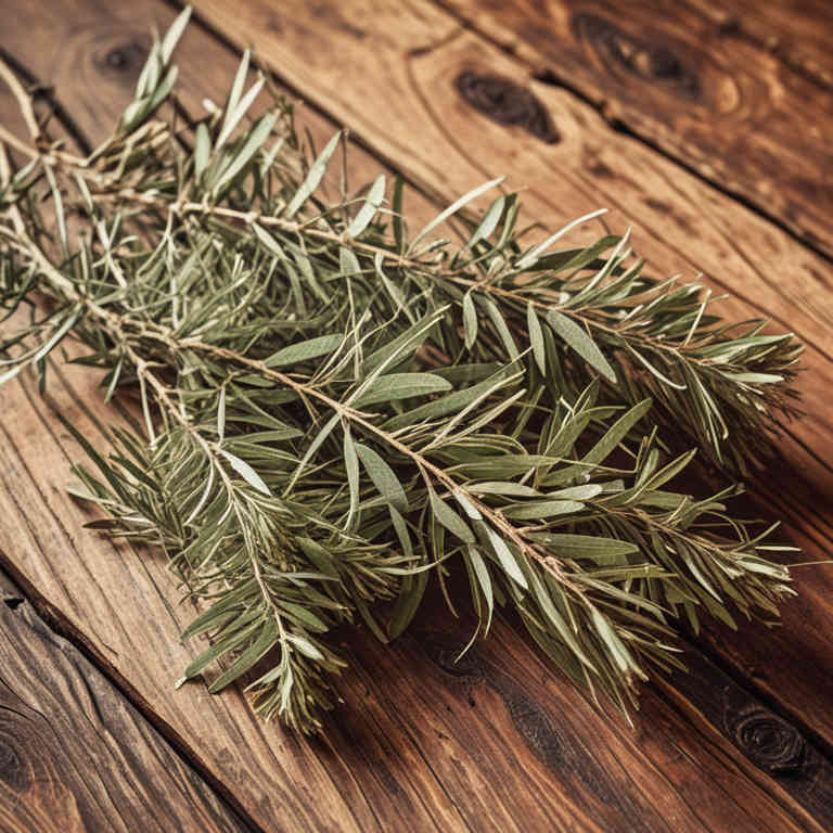 linctuses for nail fungus