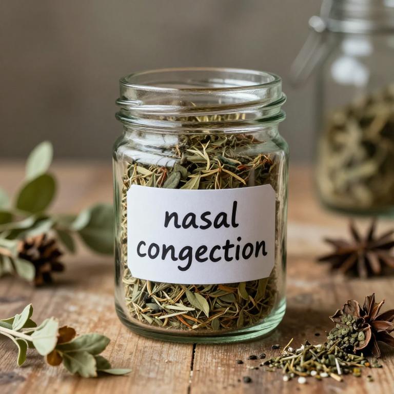 nasal congestion remedies