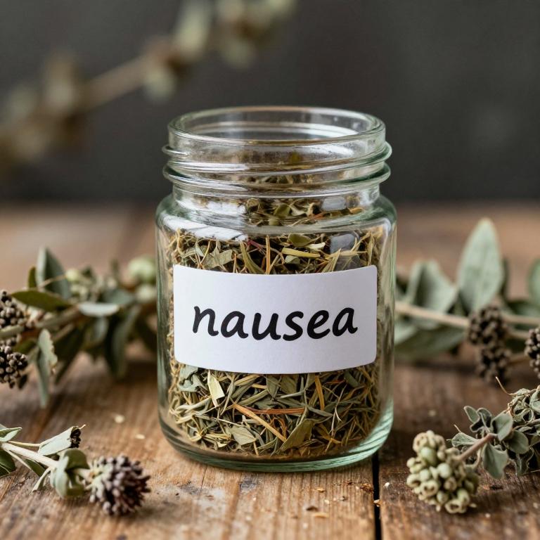 nausea remedies