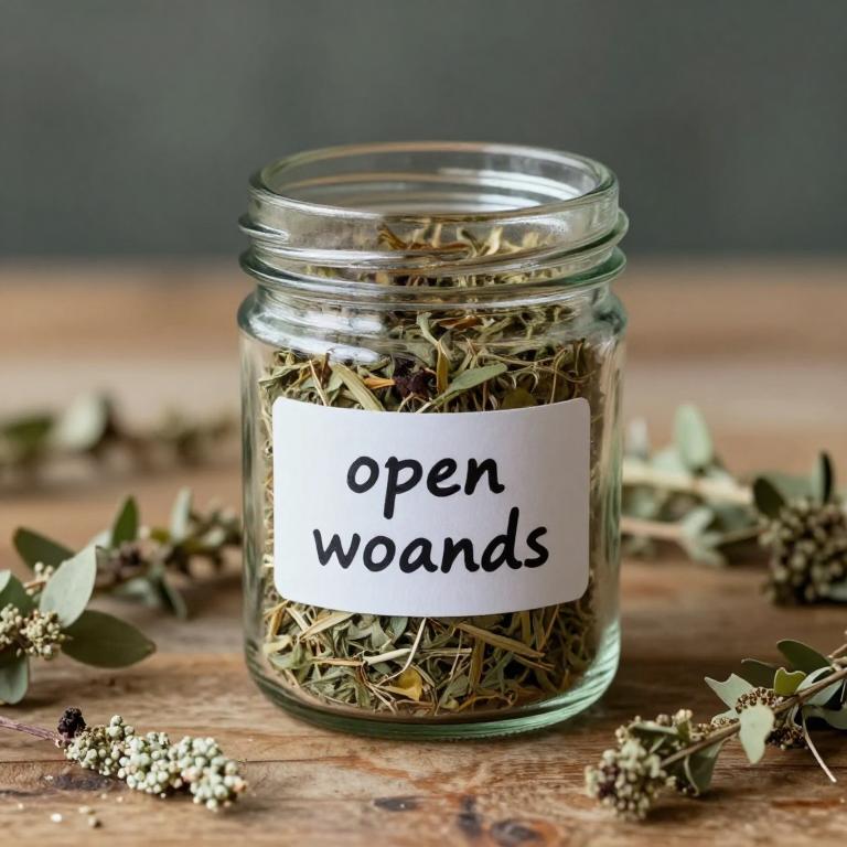 open wounds remedies