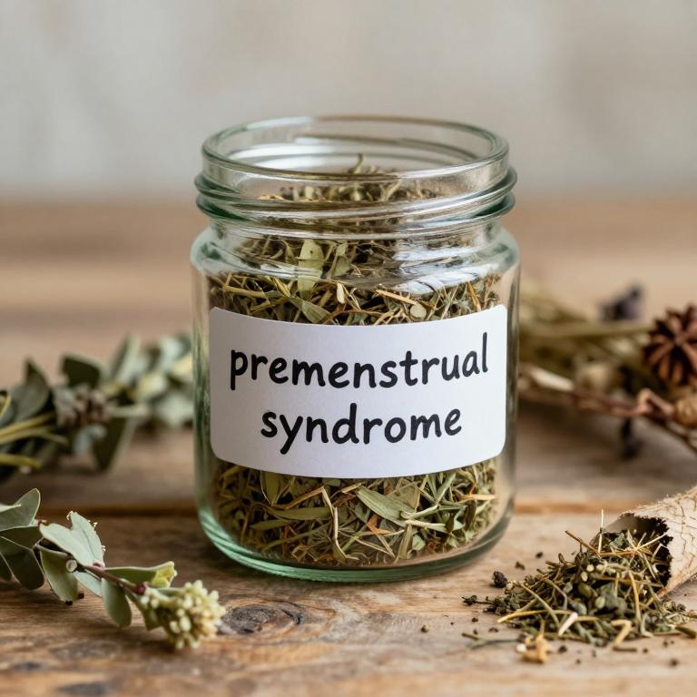 premenstrual syndrome remedies