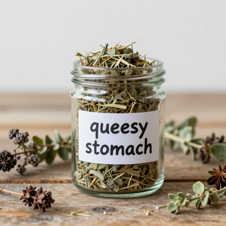 queasy stomach remedies