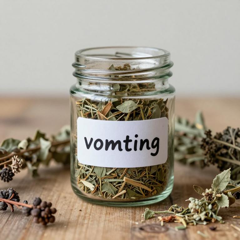 vomiting remedies
