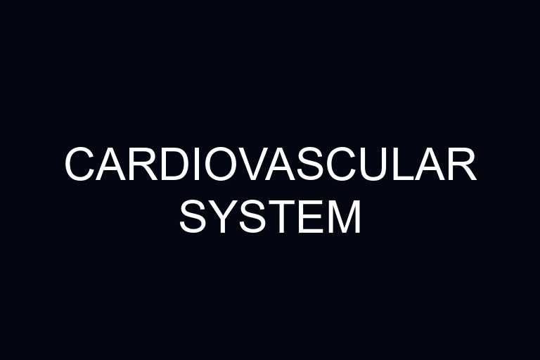 cardiovascular system overview