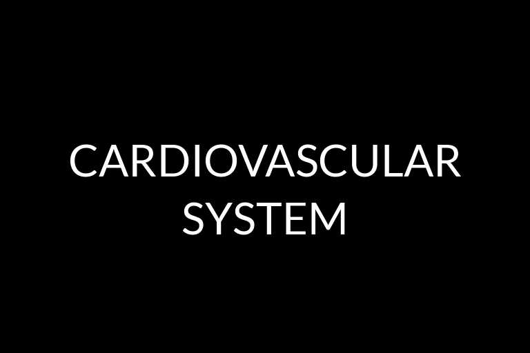 cardiovascular system