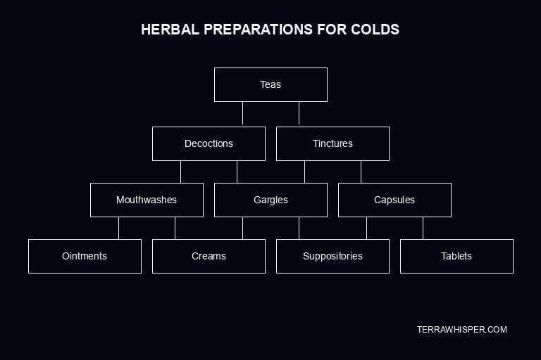 colds herbs