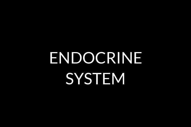 endocrine system