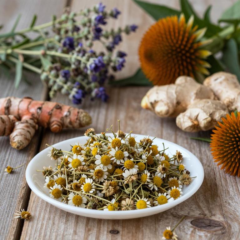 Examples of medicinal plants used in herbal medicine