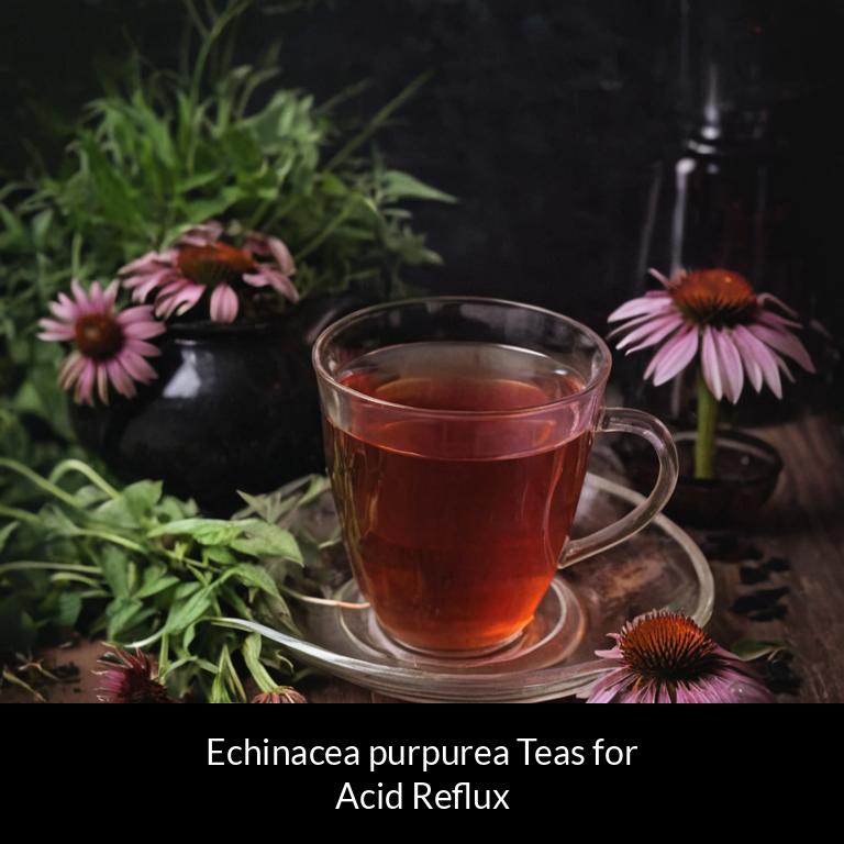 herbal teas for acid reflux echinacea purpurea herbs