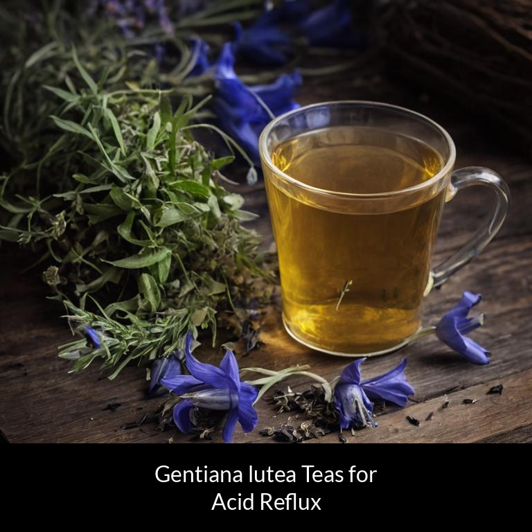 herbal teas for acid reflux gentiana lutea herbs