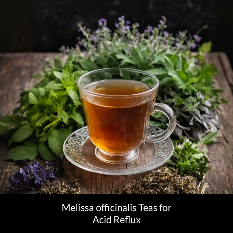 herbal teas for acid reflux melissa officinalis herbs