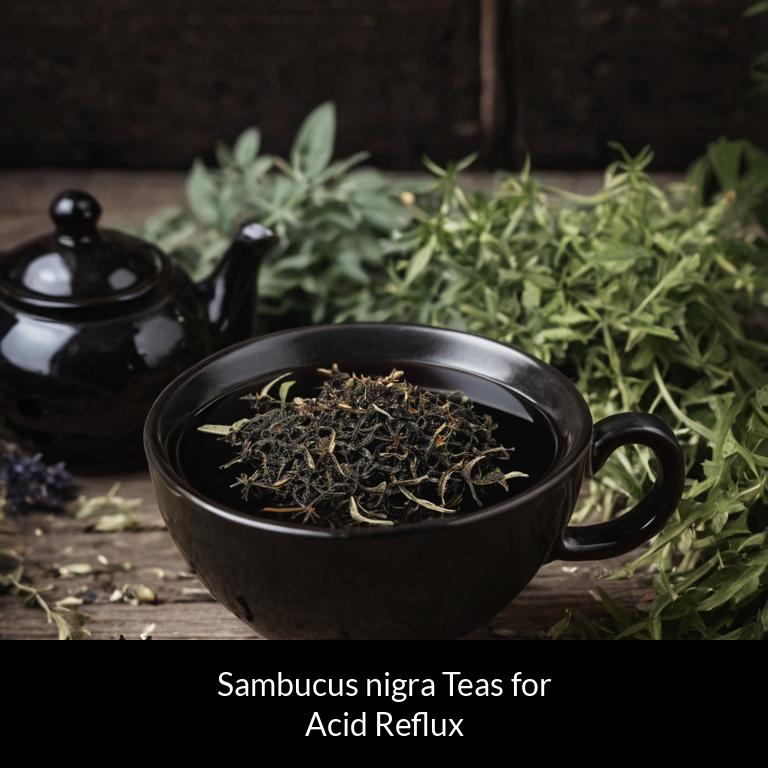 herbal teas for acid reflux sambucus nigra herbs