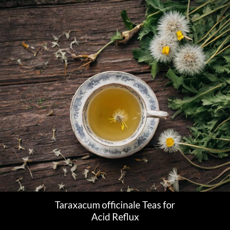 herbal teas for acid reflux taraxacum officinale herbs