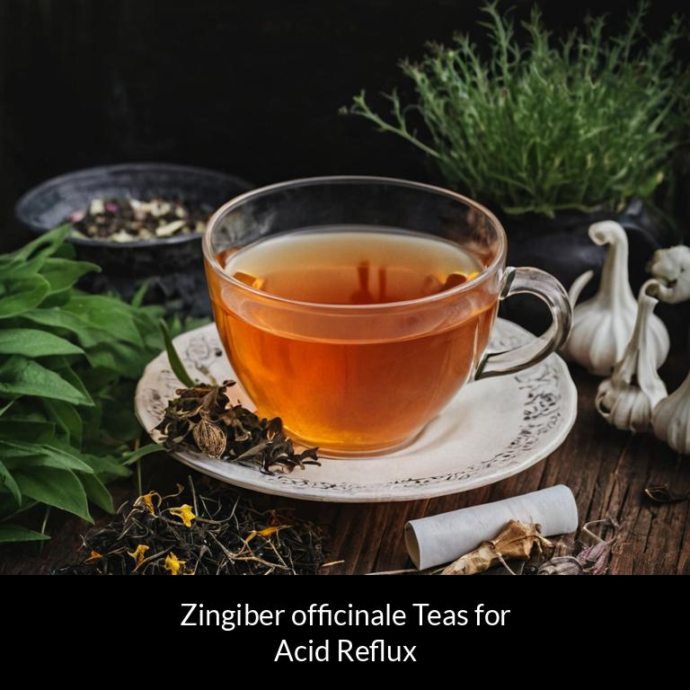 herbal teas for acid reflux zingiber officinale herbs