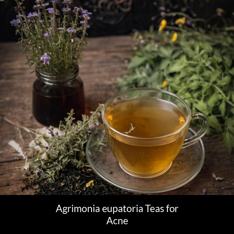herbal teas for acne agrimonia eupatoria herbs