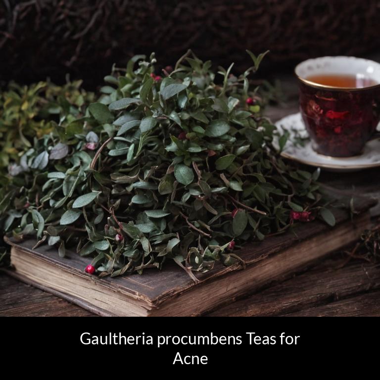herbal teas for acne gaultheria procumbens herbs