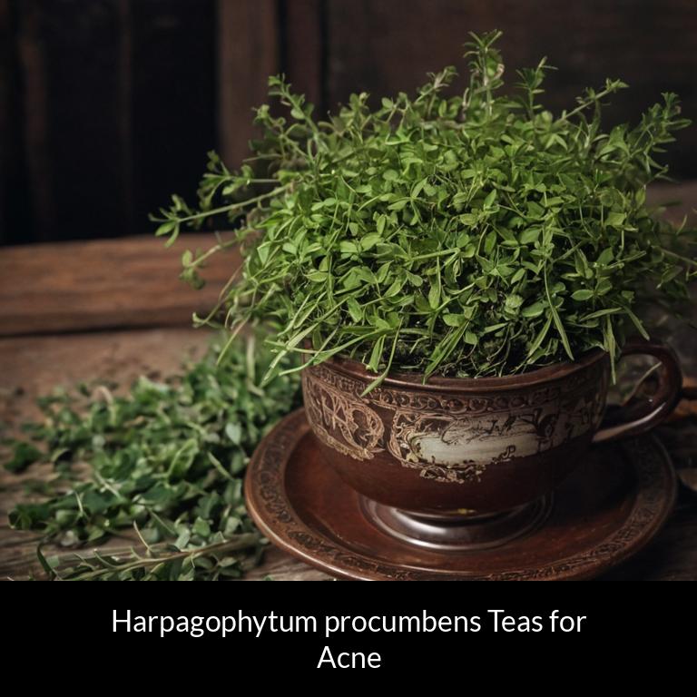 herbal teas for acne harpagophytum procumbens herbs