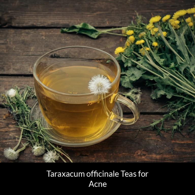 herbal teas for acne taraxacum officinale herbs