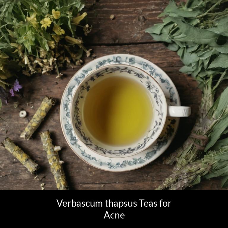 herbal teas for acne verbascum thapsus herbs