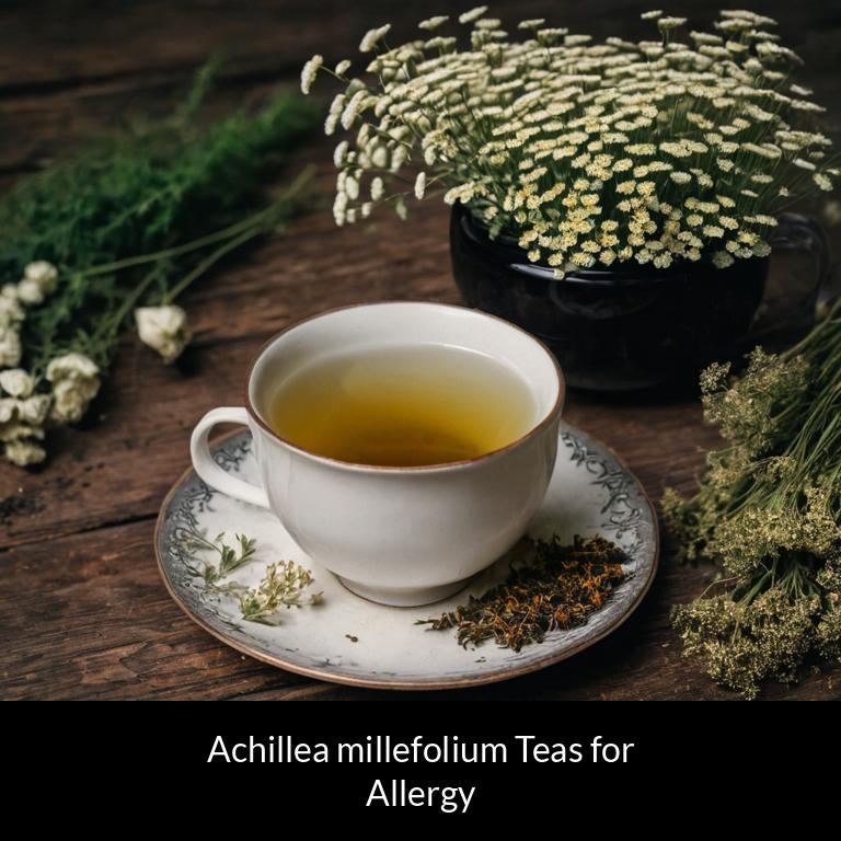 herbal teas for allergy achillea millefolium herbs