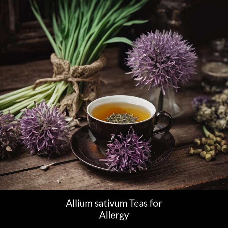 herbal teas for allergy allium sativum herbs
