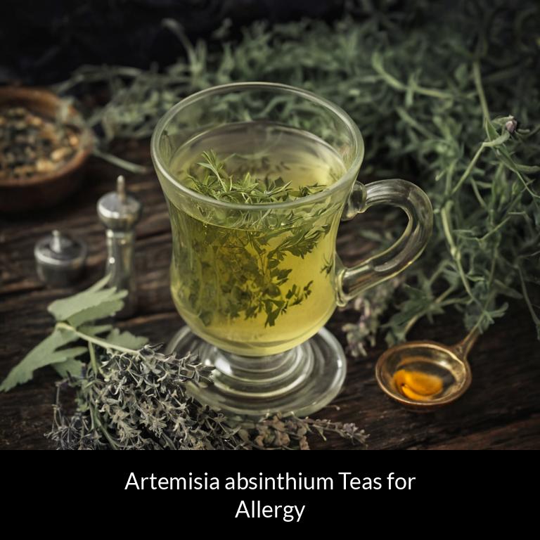 herbal teas for allergy artemisia absinthium herbs