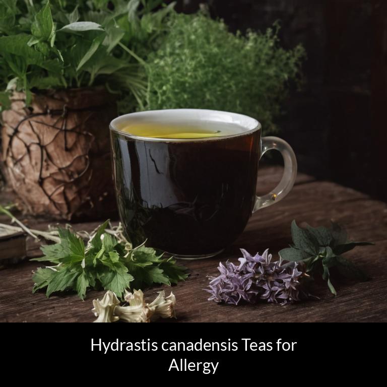 herbal teas for allergy hydrastis canadensis herbs