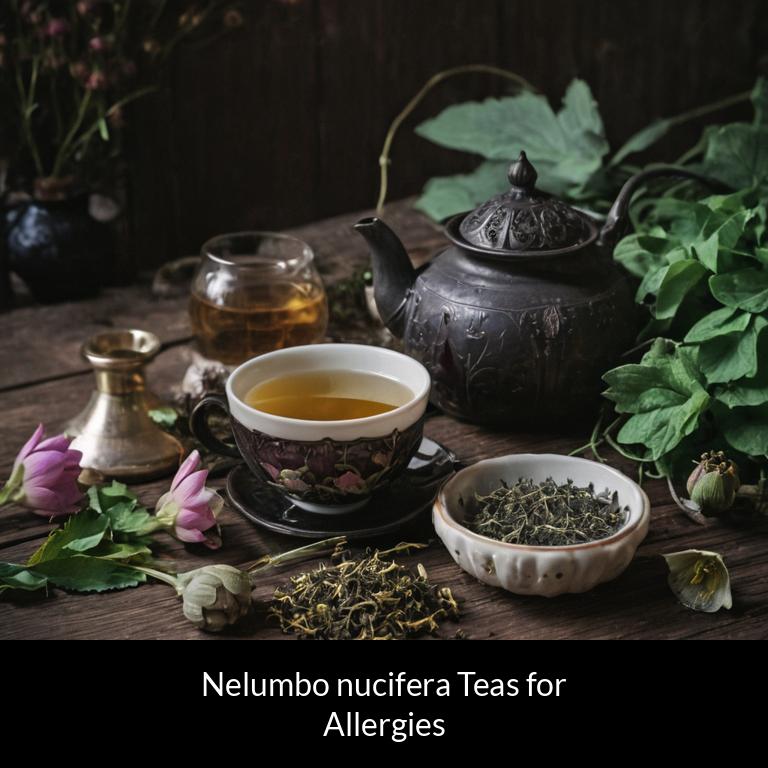 herbal teas for allergy nelumbo nucifera herbs