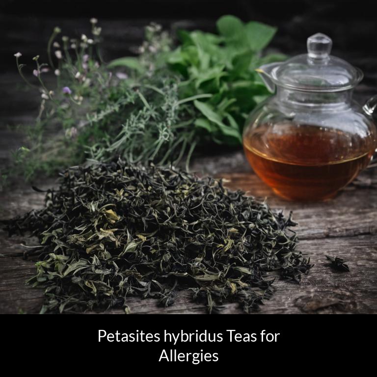 herbal teas for allergy petasites hybridus herbs