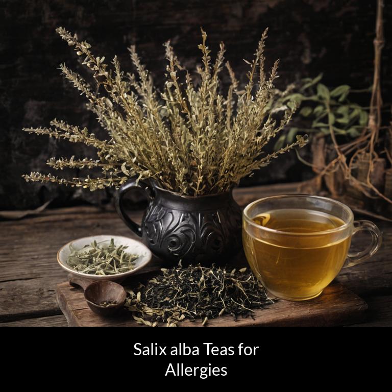 herbal teas for allergy salix alba herbs