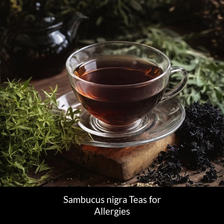 herbal teas for allergy sambucus nigra herbs