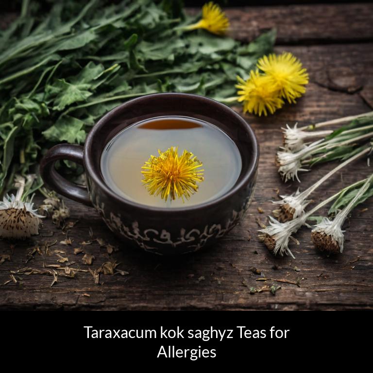 herbal teas for allergy taraxacum kok saghyz herbs
