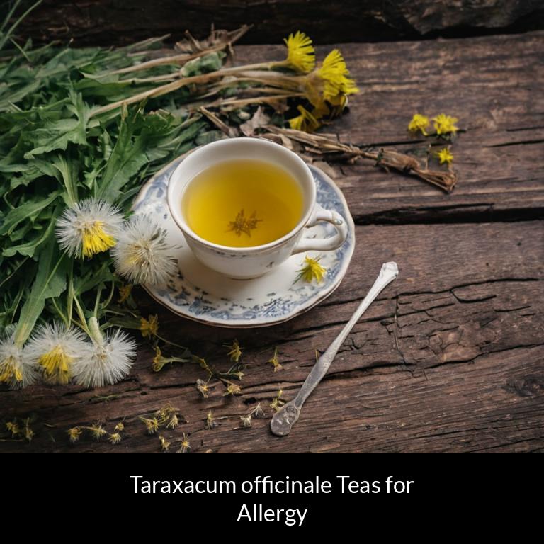 herbal teas for allergy taraxacum officinale herbs