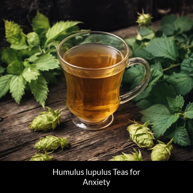 herbal teas for anxiety humulus lupulus herbs