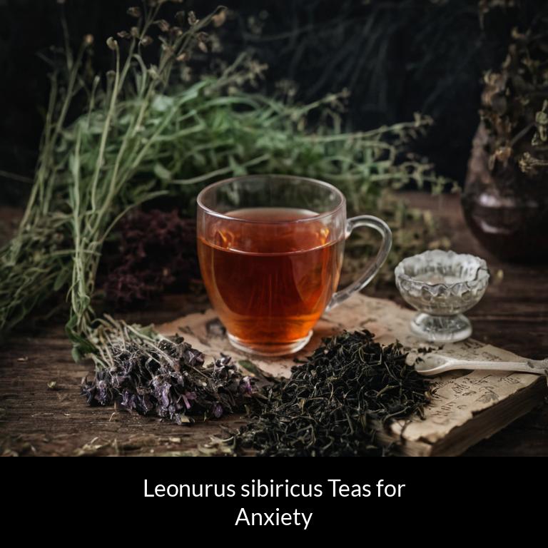 herbal teas for anxiety leonurus sibiricus herbs