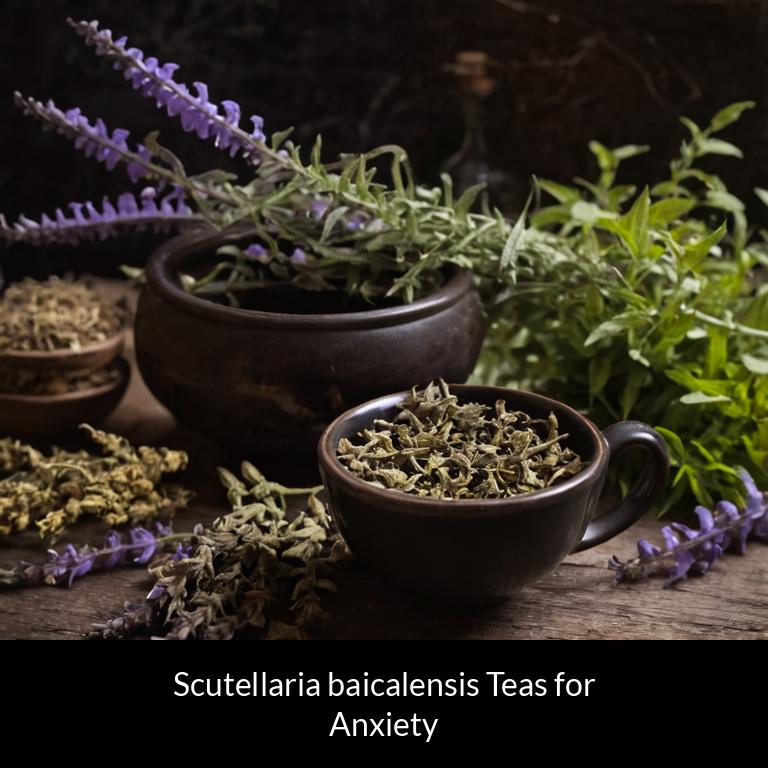 herbal teas for anxiety scutellaria baicalensis herbs