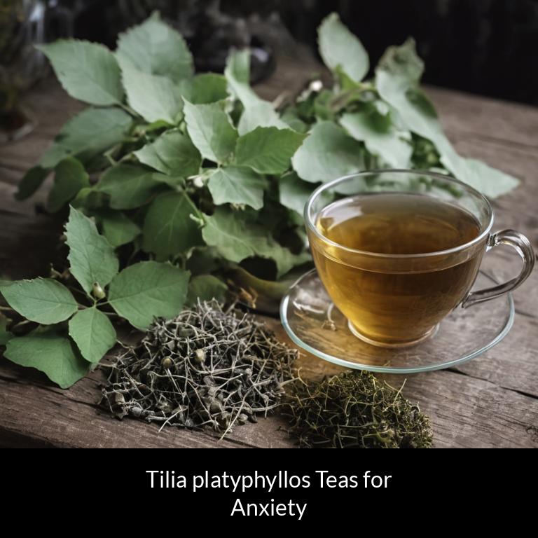 herbal teas for anxiety tilia platyphyllos herbs