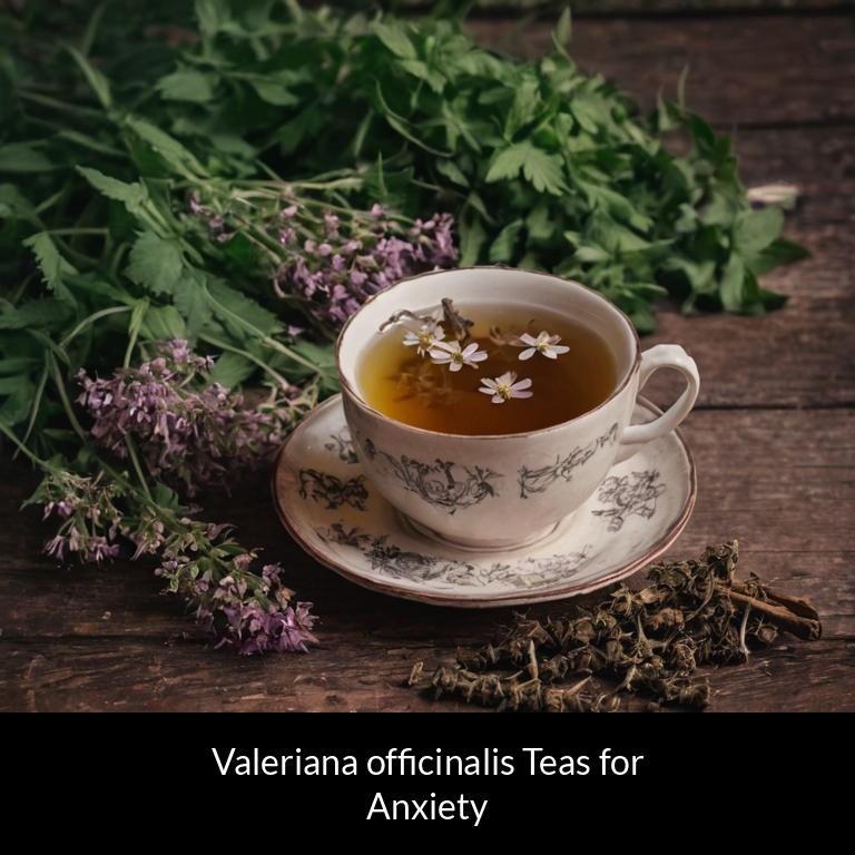 herbal teas for anxiety valeriana officinalis herbs